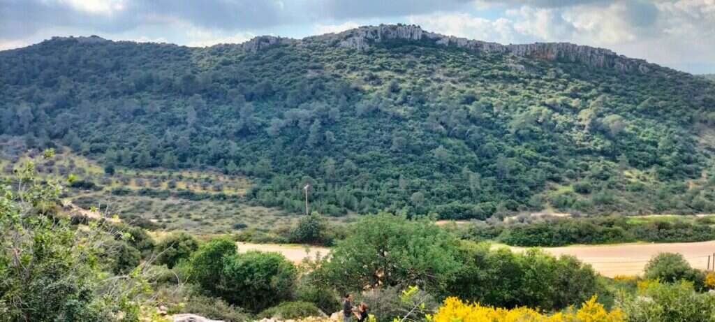שמורת הר שכניה. | איתן עומר