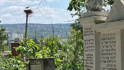בית הקברות בעיירה  (על רקע העיירה). | אדוארד דוקס