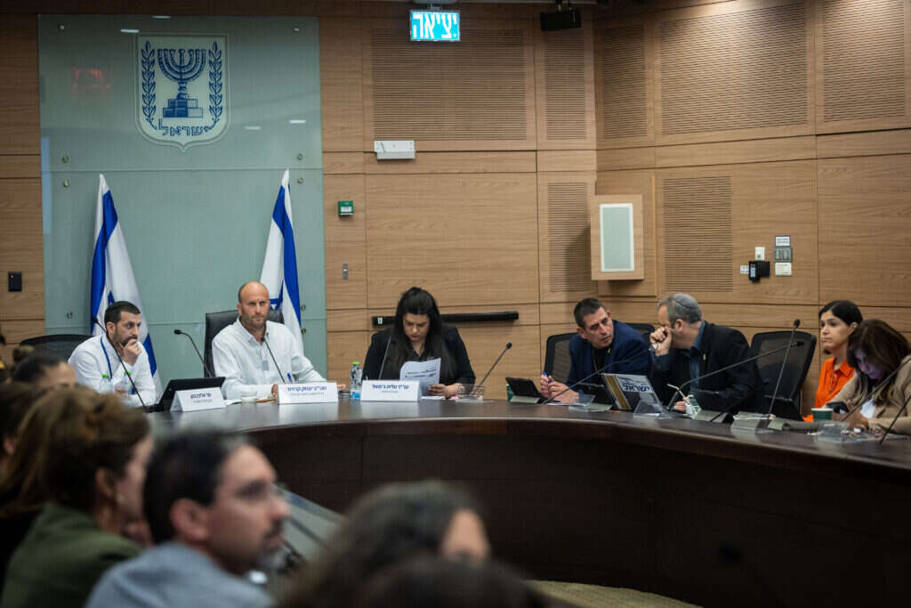 שיתופי פעולה. ח"כ קרויזר בישיבת ועדת החוקה. | יונתן זינדל, פלאש 90