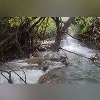 המפלים הלבנים. | צ'ק אין אאוט
