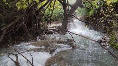 המפלים הלבנים. | צ'ק אין אאוט