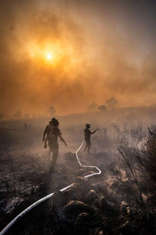 שרפה סמוך למושב אניעם ברמת הגולן, כתוצאה מטילי חיזבאללה, קיץ 24'. | שי ידאל אל פורת שרפה סמוך למושב אניעם ברמת הגולן, כתוצאה מטילי חיזבאללה, קיץ 24'. | שי ידאל אל פורת