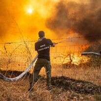 שרפה סמוך למושב אניעם ברמת הגולן, כתוצאה מטילי חיזבאללה, קיץ 24'. | שי ידאל אל פורת שרפה סמוך למושב אניעם ברמת הגולן, כתוצאה מטילי חיזבאללה, קיץ 24'. | שי ידאל אל פורת