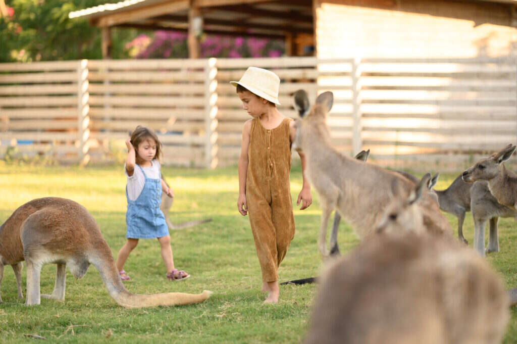 גן גורו. | מיכל אבנד