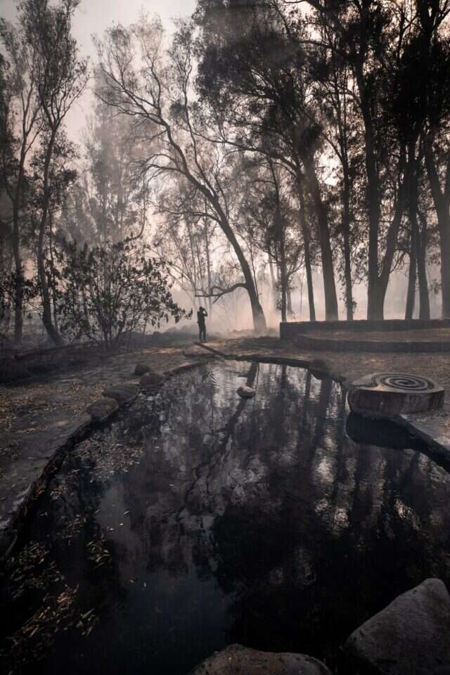 מעיין סלוקיה (קצבייה) ברמת הגולן, לאחר שרפה כתוצאה מירי חיזבאללה. | שי ידאל אל פורת מעיין סלוקיה (קצבייה) ברמת הגולן, לאחר שרפה כתוצאה מירי חיזבאללה. | שי ידאל אל פורת