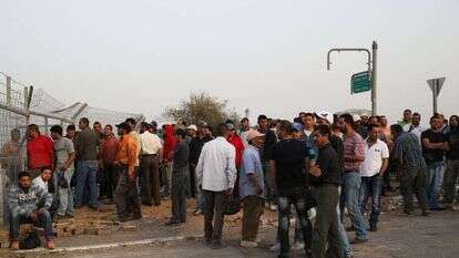 פועלים פלסטינים בכניסה ליישוב יהודי ביו"ש. | נתי שוחט, פלאש 90