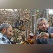 מוחמד דף (ימין), ממנהיגי חמאס | דובר צה"ל