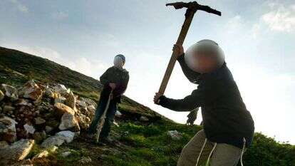 אילוסטרציה. | אוליבייה פיטוסי, פלאש 90