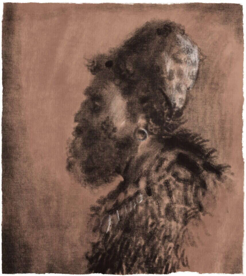 איור: מנחם הלברשטט