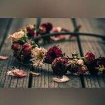 אילוסטרציה: IDEOGRAM