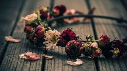 אילוסטרציה: IDEOGRAM