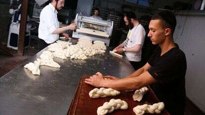 דוד כהן - פלאש 90