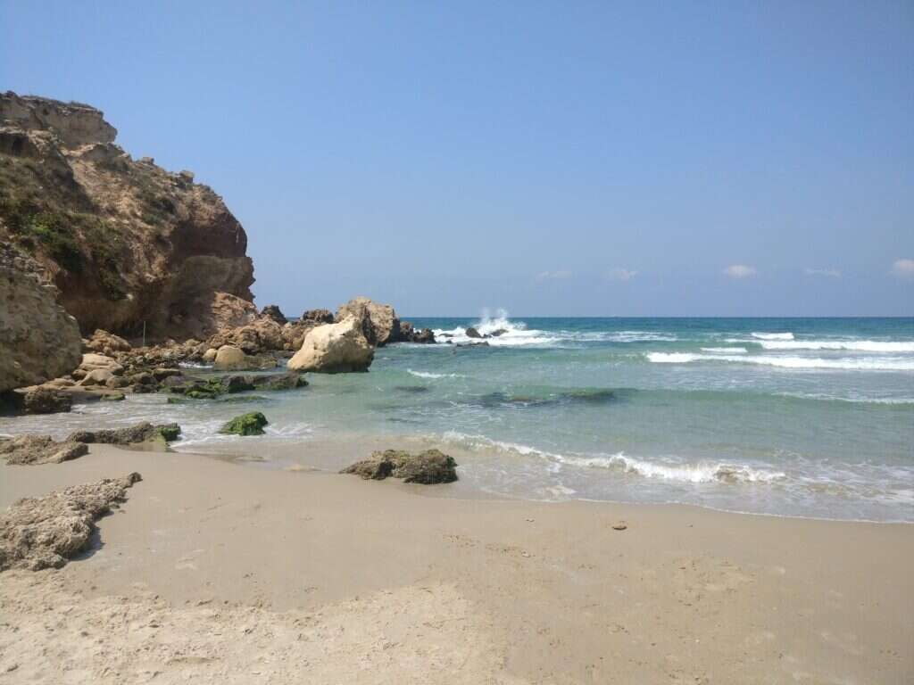 חוף גדור. | צ'ק אין אאוט