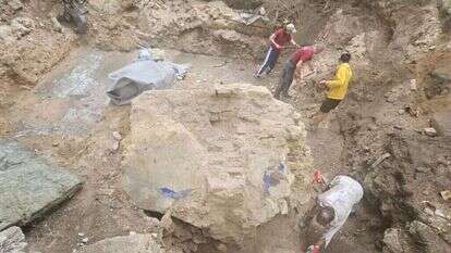 שברי קירות צבעוניים שהעידו כי קירות בית הכנסת היו מעוטרים. | רשות העתיקות