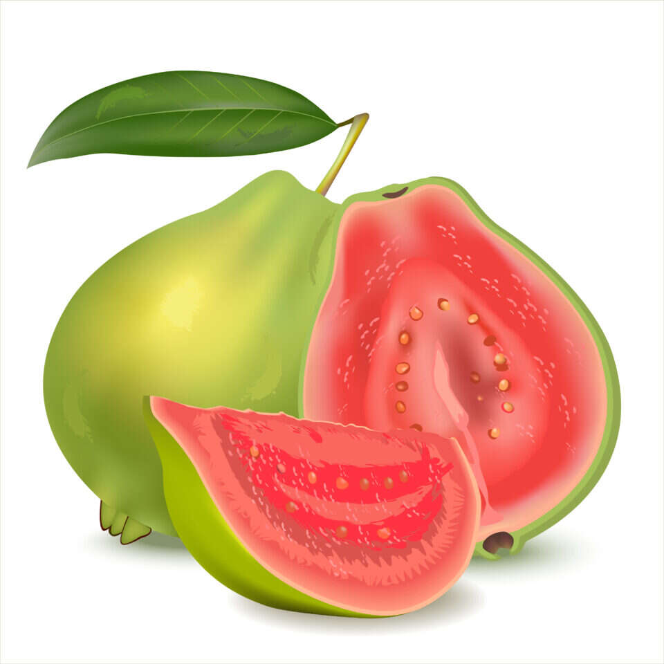 גויאבה. אילוסטרציה: שאטרסטוק גויאבה. אילוסטרציה: שאטרסטוק