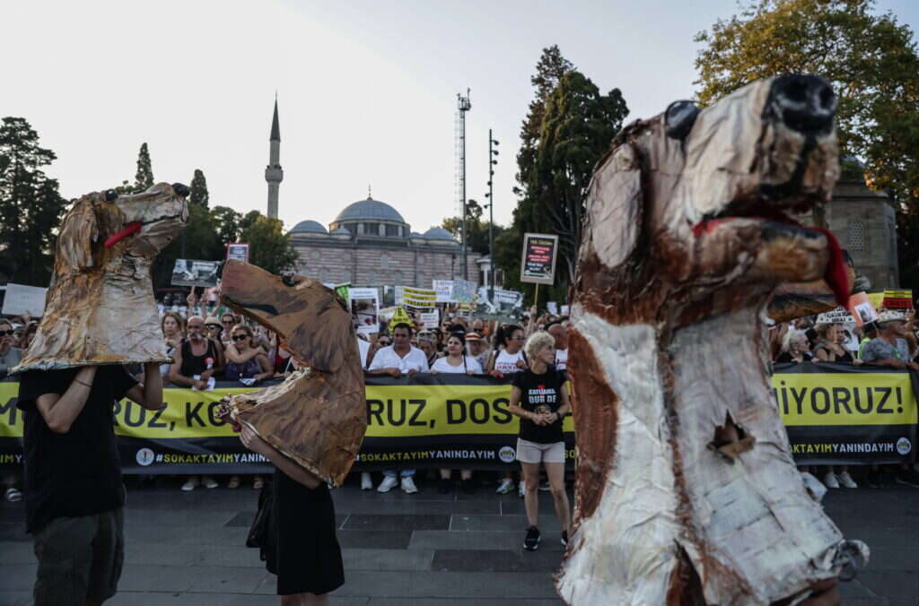 הפגנות בטורקיה למען כלבים. | EPA