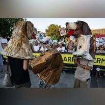 הפגנות בטורקיה למען כלבים. | EPA