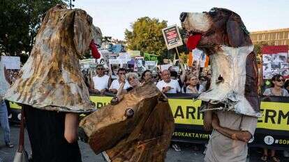 הפגנות בטורקיה למען כלבים. | EPA