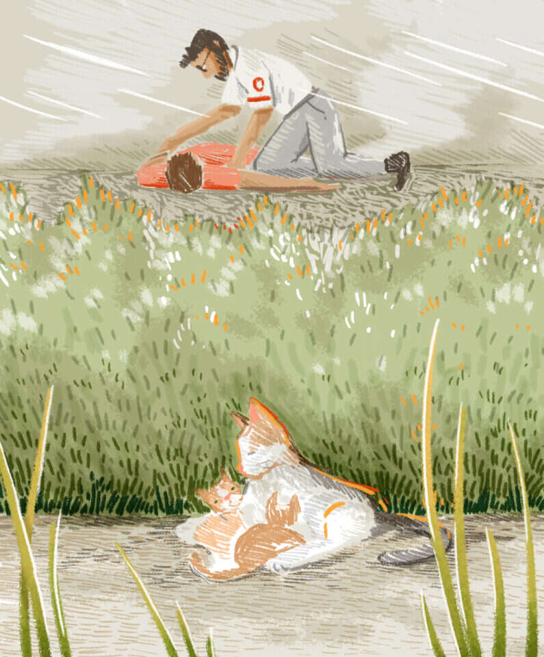 איור: נעמה להב