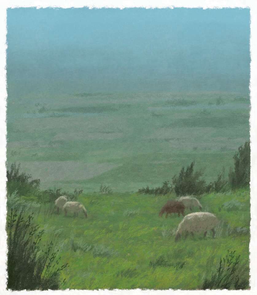 איור: מנחם הלברשטט