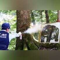 שוטר מתאמן בשימוש בתרסיס נגד דובים על לוח המייצג דוב בר, במהלך תרגיל נגד דובים בעיירה אוקוטמה, טוקיו, ביום שני. | Japan News