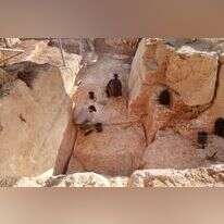 העבודות במחצבה הקדומה בהר חוצבים, השבוע. | אמיל אלג'ם רשות העתיקות