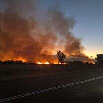 שרפות בצפון. | עליזה בלוך