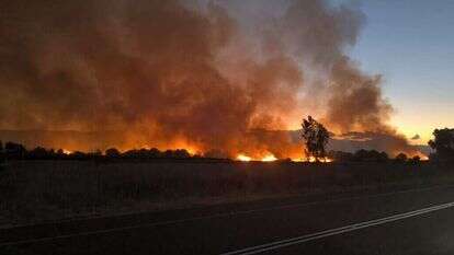 שרפות בצפון. | עליזה בלוך