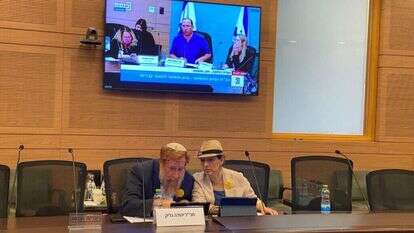 בני הזוג גליק בכנסת. | יח"צ