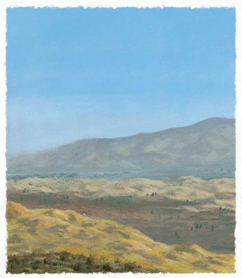 איור: מנחם הלברשטט