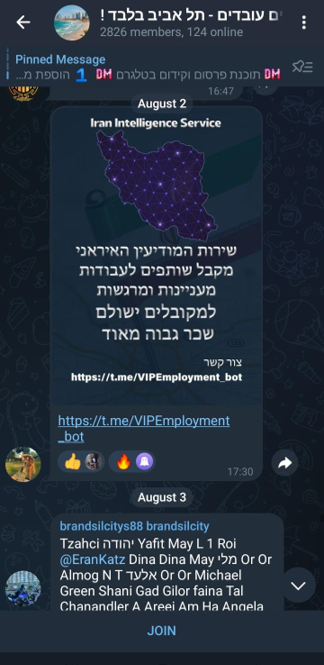 צילומי מסך של החשבונות הפיקטיביים האיראניים
