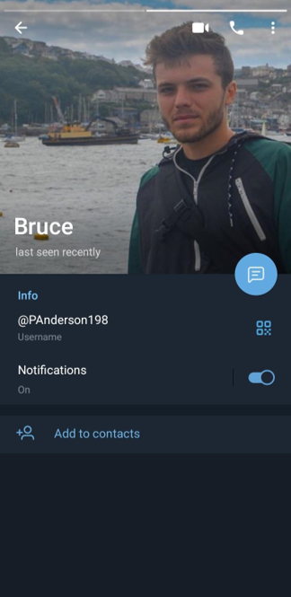 צילומי מסך של החשבונות הפיקטיביים האיראניים