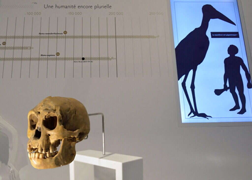 גזע ה"הוביטים" מאינדונזיה. | מסך מיוטיוב