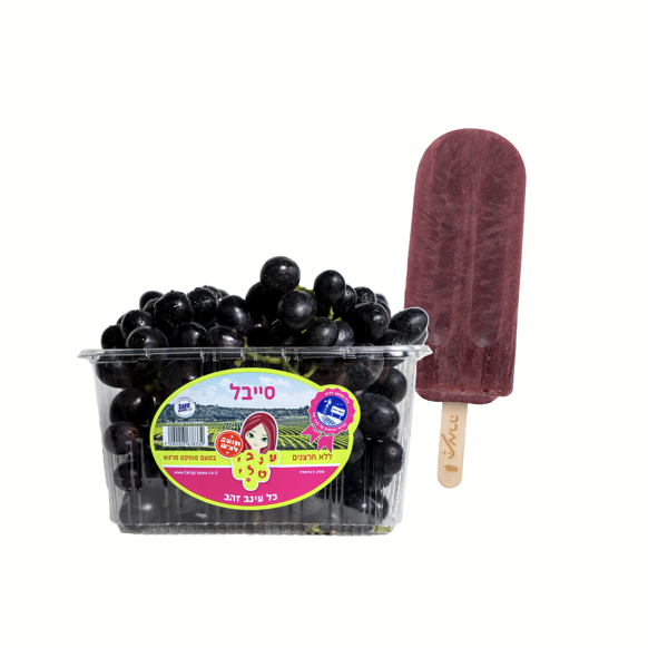 ארטיק ענבי סייבל, תמרה. | ניצן אשוח