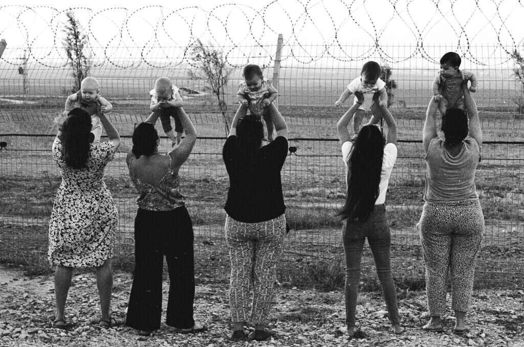 חיים על הגבול. זהר שפק, 2022