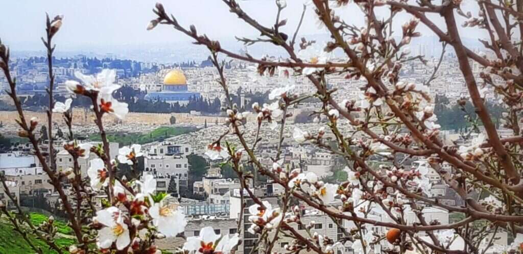 גן לאומי עמק צורים. | יניב כהן, רשות הטבע והגנים