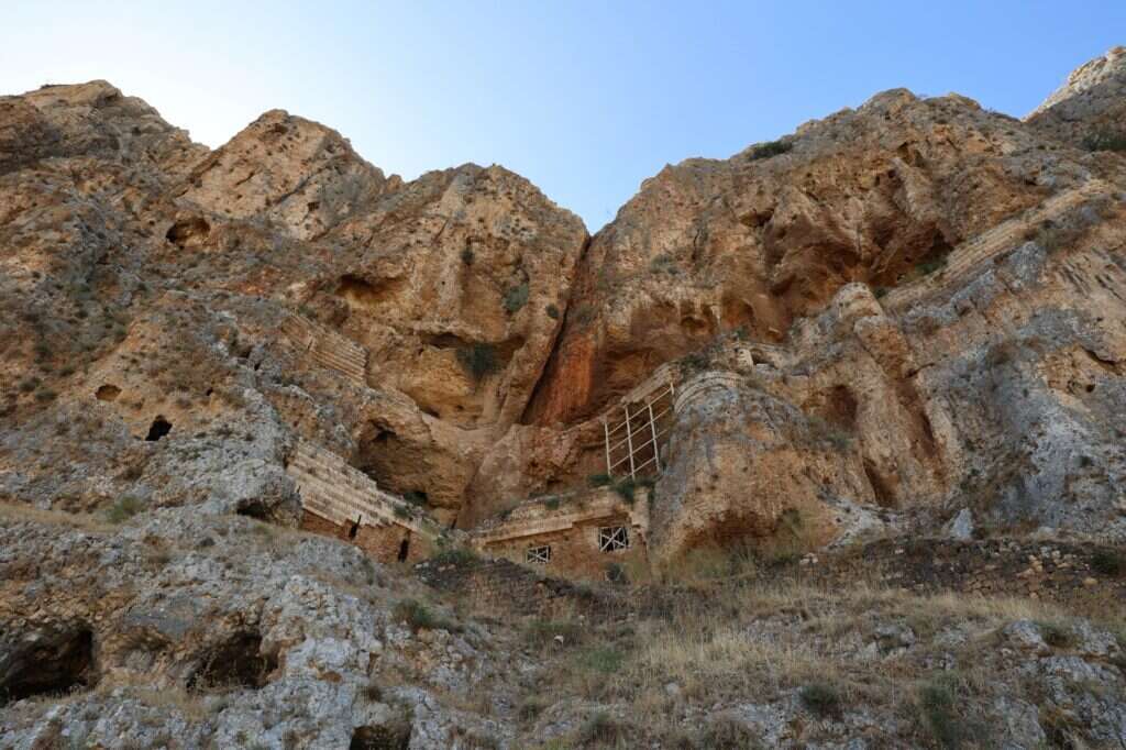 הארבל. | שי אייזקס, רשות הטבע והגנים