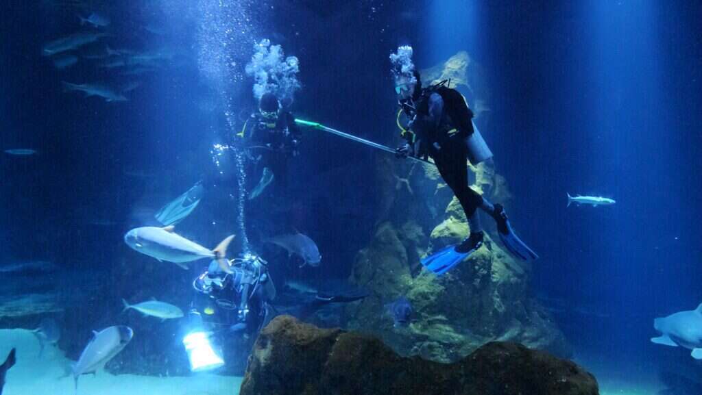 אקווריום ישראל. | אמיר רוזנברג