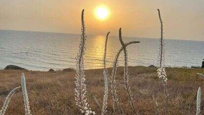 חצבים - גן לאומי אפולוניה. | אתי נפרין, רשות הטבע והגנים