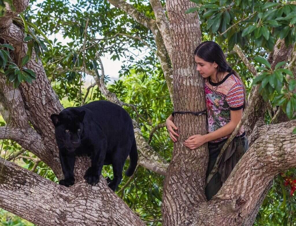 אמילי והיגואר האחרון. | באדיבות סרטי שובל וסרטי יונייטד קינג