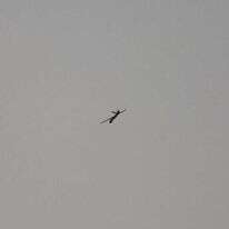 כטב"ם של חיזבאללה בשמי הצפון, אוגוסט 24'. | EPA