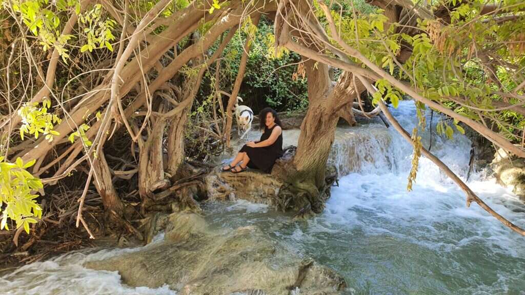 המפלים הלבנים. קרדיט: צק אין אאוט