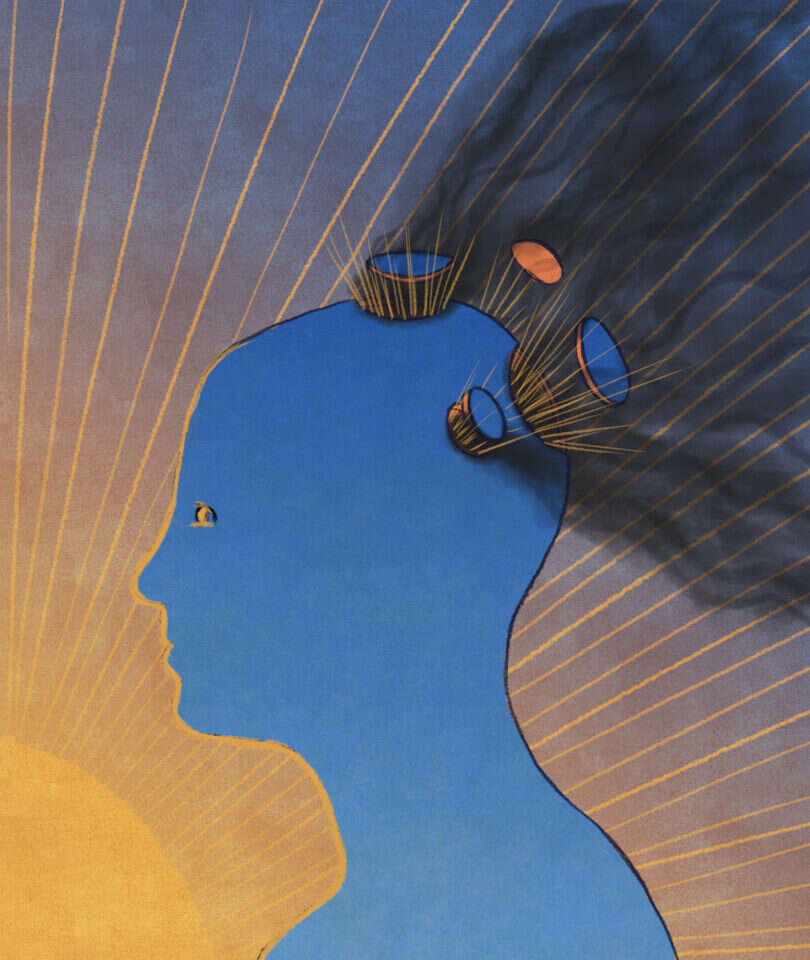 איור: שרון ארדיטי