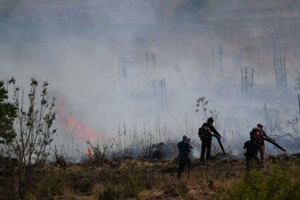 70 אחוז מהשטחים החקלאיים סביב קצרין עלו אש. שרפה בקצרין כתוצאה מפגיעת רקטה. | אייל מרגולין, ג'יני 70 אחוז מהשטחים החקלאיים סביב קצרין עלו אש. שרפה בקצרין כתוצאה מפגיעת רקטה. | אייל מרגולין, ג'יני