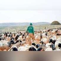 מתנדב של "השומר יו"ש". | השומר יו"ש