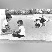 "העברית שלנו צמחה בגבעות החול". | נתי הרניק, לע"מ