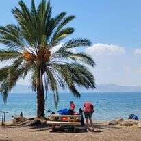 חוף גולן. | טל אסף, איגוד ערים כינרת