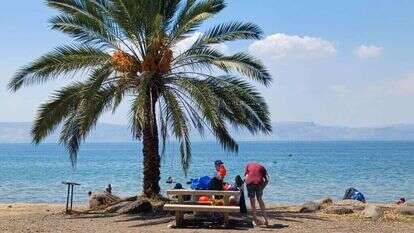 חוף גולן. | טל אסף, איגוד ערים כינרת