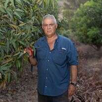 מוטי אלמוז. | אייל מרגולין, ג'יני