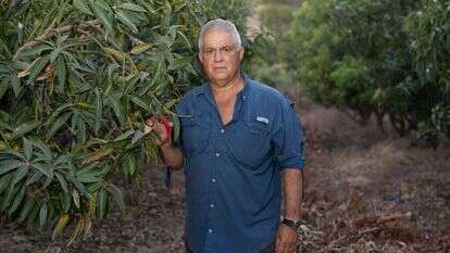 מוטי אלמוז. | אייל מרגולין, ג'יני